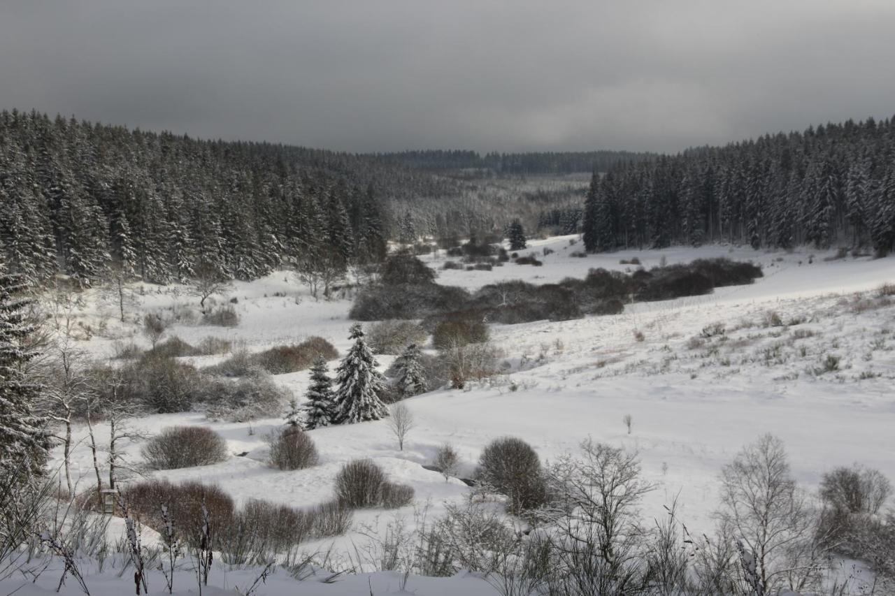 Le Nid Des Mesanges Villa Büllingen Eksteriør bilde