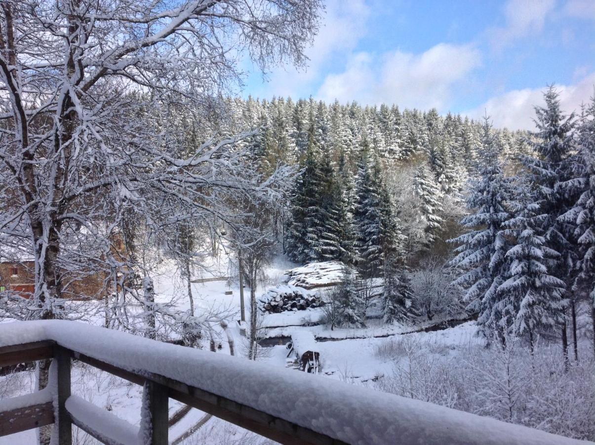 Le Nid Des Mesanges Villa Büllingen Eksteriør bilde