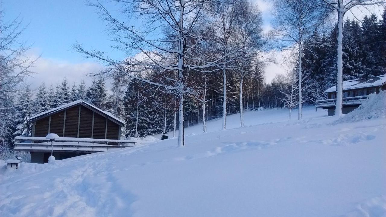 Le Nid Des Mesanges Villa Büllingen Eksteriør bilde